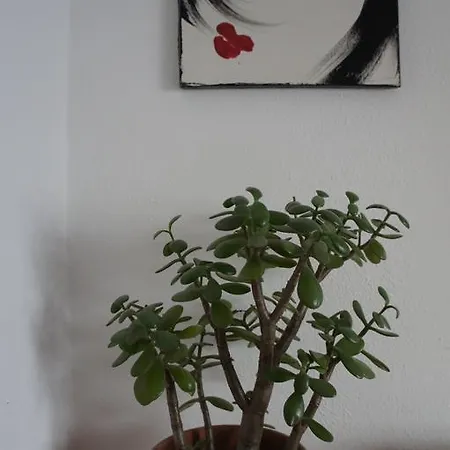 Appartment Innernzell Daire Innernzell