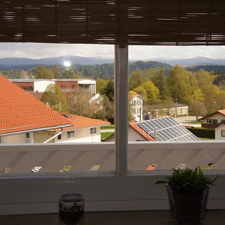 Daire Appartment Innernzell *